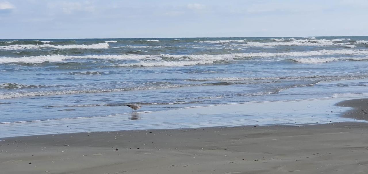 Isabelle Apartament Alezzi Beach Resort Mamaia Nord Năvodari Εξωτερικό φωτογραφία